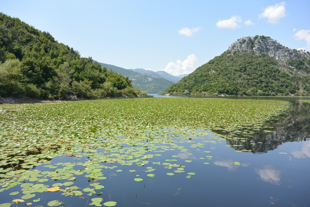 Clark Weeks Travel Info Montenegro - Lake Skadar